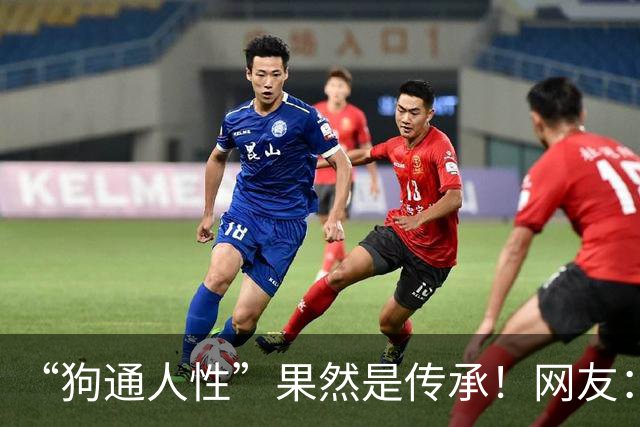 “狗通人性”果然是传承！网友：两家闹矛盾，两家狗也互不往来了