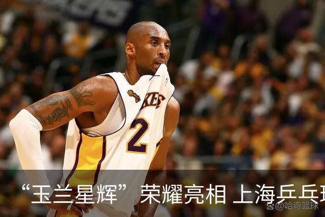 “玉兰星辉”荣耀亮相 上海乒乓球嘉年华开启总决赛倒计时