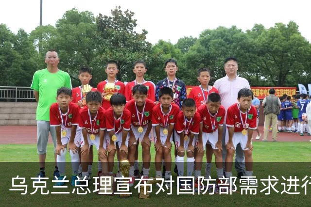 乌克兰总理宣布对国防部需求进行重大审计