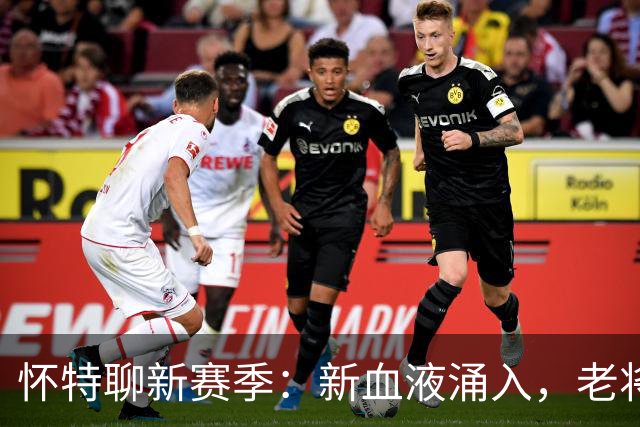 怀特聊新赛季：新血液涌入，老将们依然坚守！