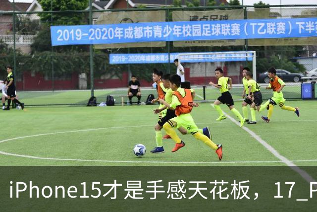 iPhone15才是手感天花板，17 Pro和16都得靠边站